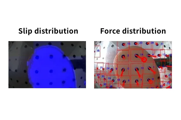 Slip distribution and force distribution