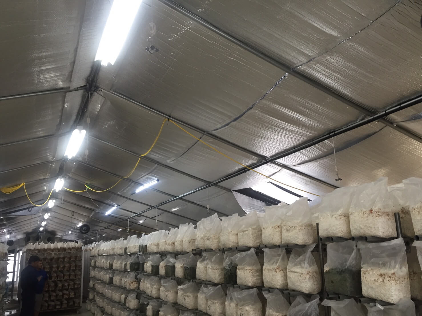 Installation in an attic