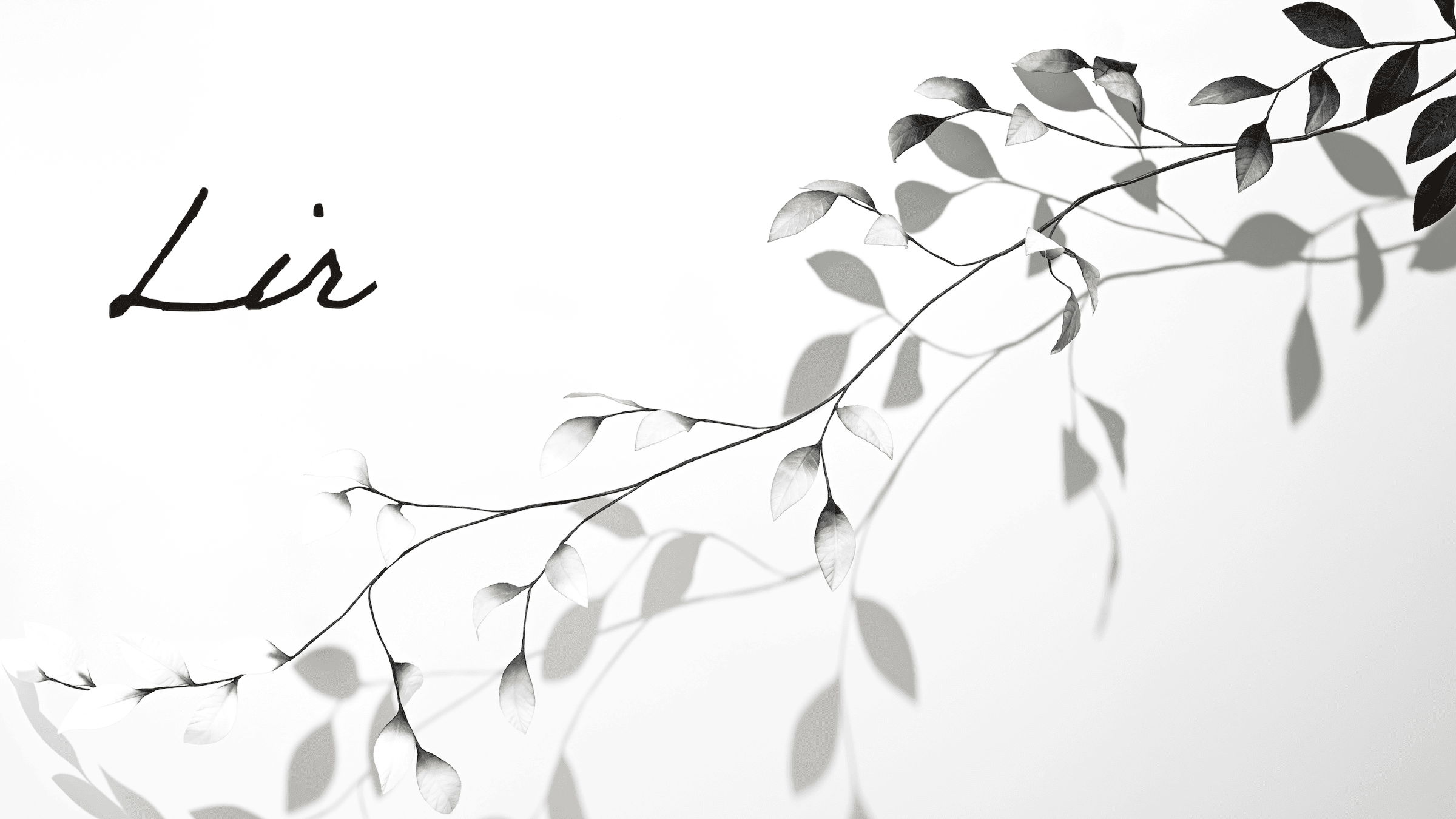 Designing Plants Through Fabric