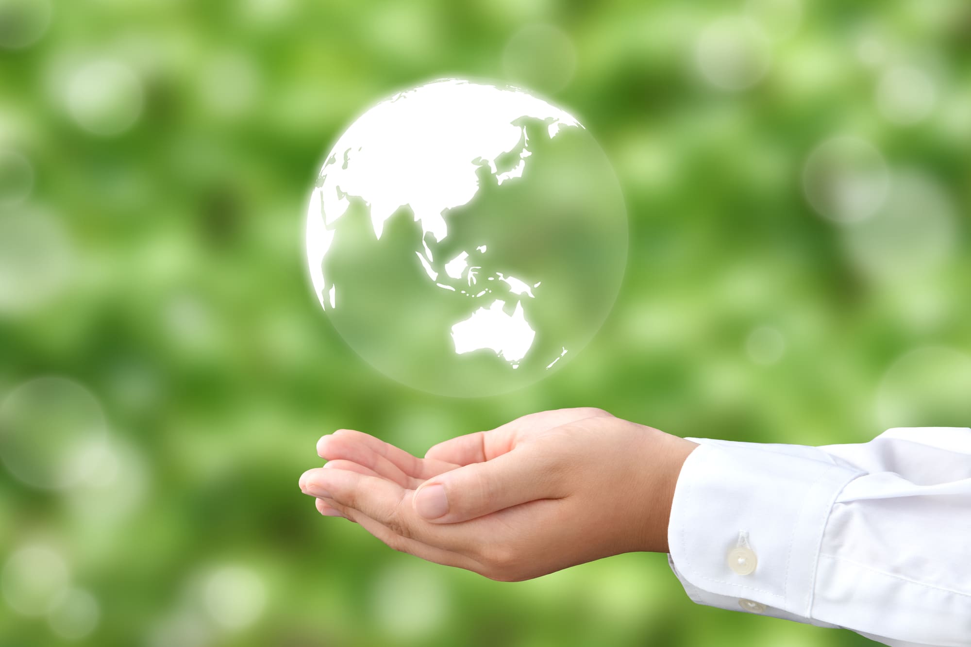 Toward a Sustainable Future
