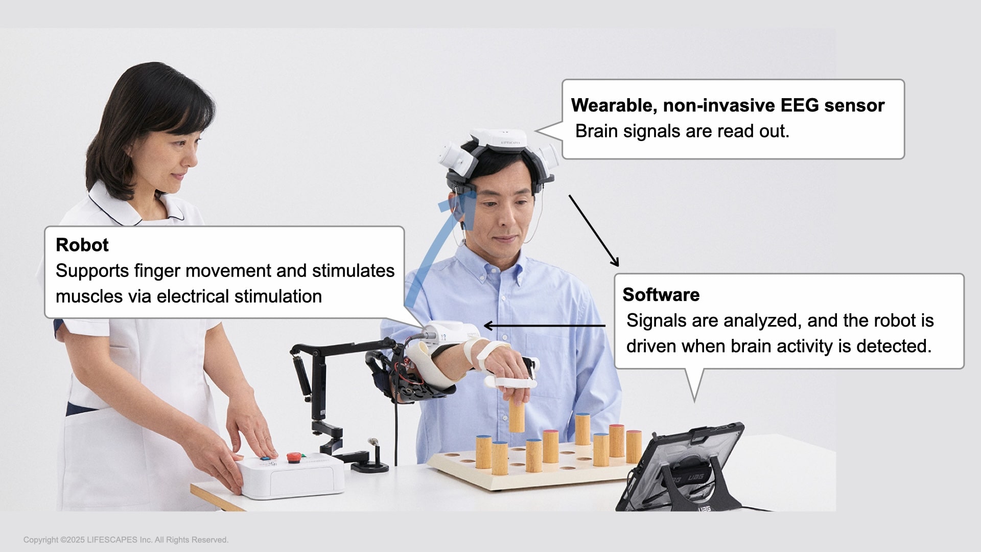 Principles of BCI Rehabilitation