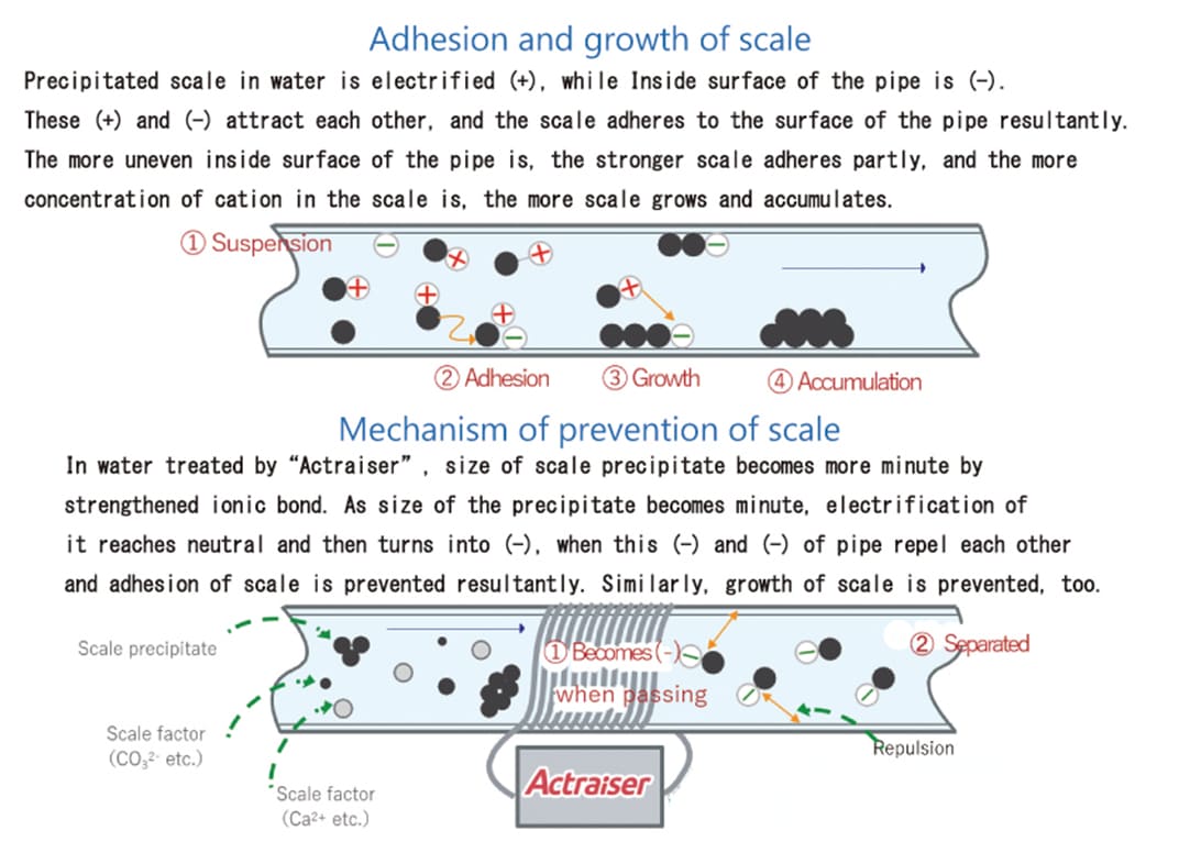 The science behind scale prevention.
