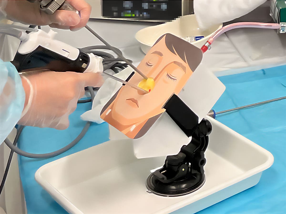 Accessible, Affordable, and Repeatable: The ESS Training Model Basic Series